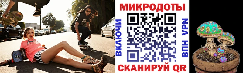 Купить закладки  Новоалександровск  Псилоцибиновые грибы Psilocybine cubensis 